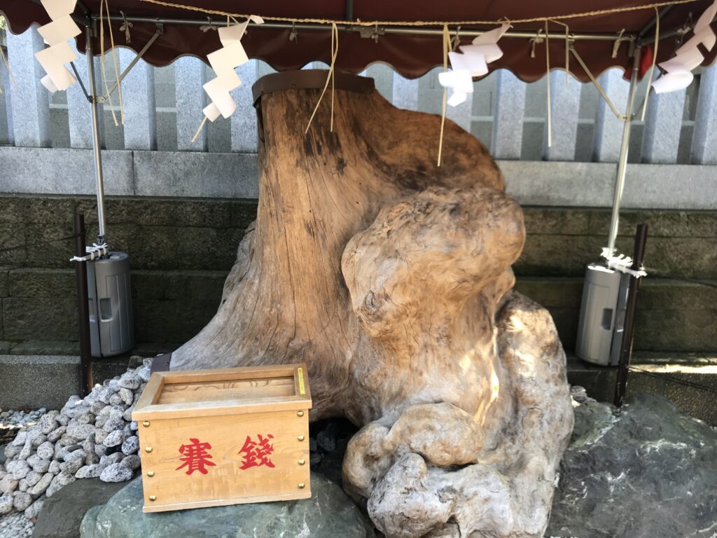DT10_溝口神社垂乳根の銀杏